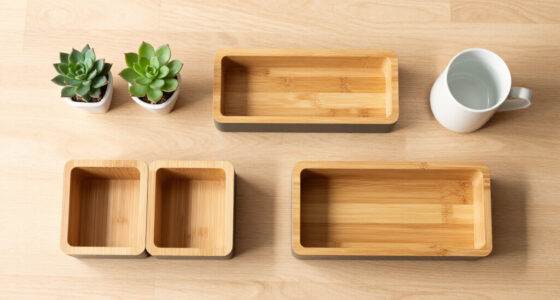 10 Best Decorative Desk Organizers in 2026