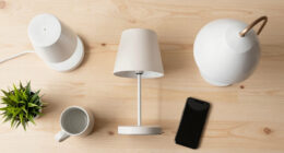 13 Best Decorative Desk Lamps in 2026