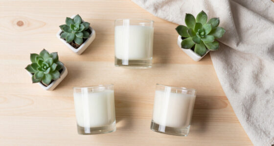 Best Scented Candles For Dorm Decor Compared