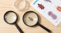 ‘Explosive’ diarrhea parasite cases surge as health officials seek source