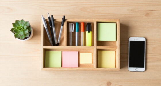13 Best Student Desk Organizers in 2026