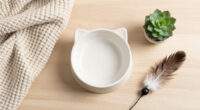 Best Gifts for a Cat Owner