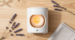 15 Best Electric Candle Warmers in 2026