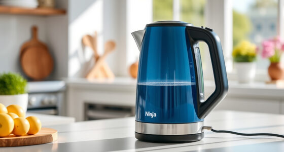 Summer Sip Perfected: Essential Accessories for Your Ninja KT200BL Kettle
