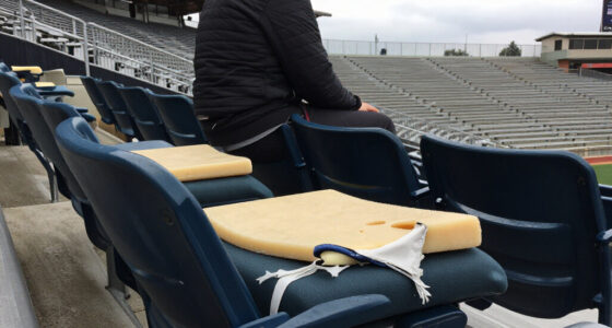 Torn-out Seats Seen At Rogers Stadium After Severe Toronto Storm - NOW Toronto
