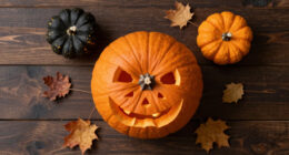 15 Best Halloween Picks for Parties, Decorating, and Family Fun in 2027