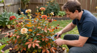 6 Plants You Should Never Prune In October – Experts Say They’ll Do Better If You Leave Them Alone