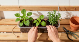 Gardener Transforms Plastic Containers Into A Creative Hanging Planter